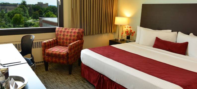 尤马萨酒店(Hotel UMass)图片