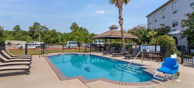 金伍德休斯顿北部舒适套房酒店(Comfort Suites Kingwood Houston North)图片