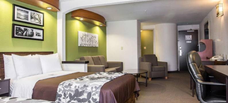 耶米特斯堡舒眠套房酒店(Sleep Inn & Suites)图片