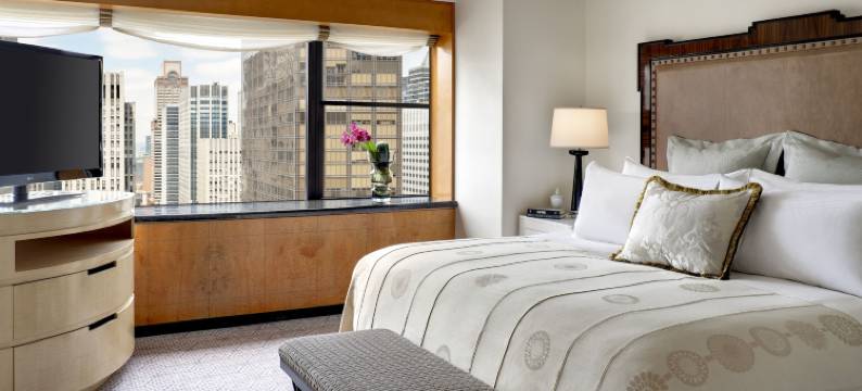 乐天纽约皇宫酒店(Lotte New York Palace)图片