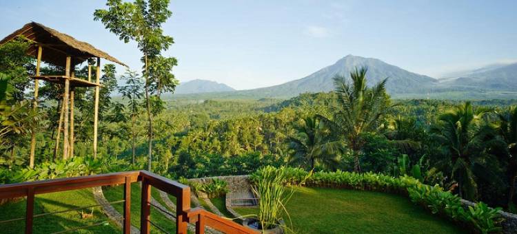 伊真吉瓦加瓦度假村(Jiwa Jawa Resort Ijen)图片