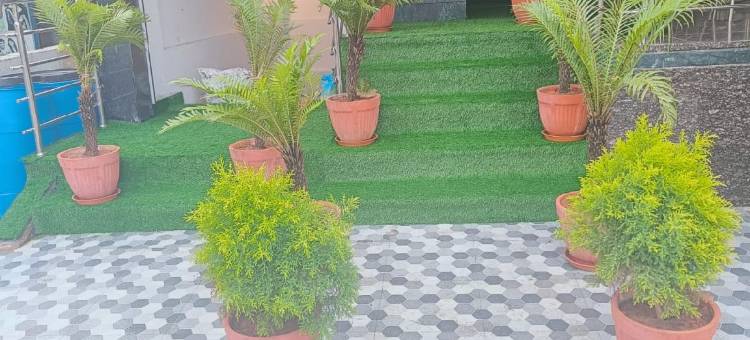 Royal Ace Stopover图片