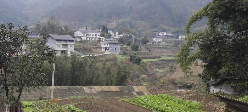 遵义田园大院度假别墅图片