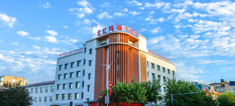 逊克北红玛瑙大酒店(江畔广场店)图片