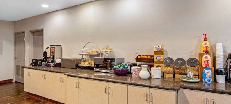 克利本拉昆塔温德姆套房酒店(La Quinta Inn & Suites by Wyndham Cleburne)图片