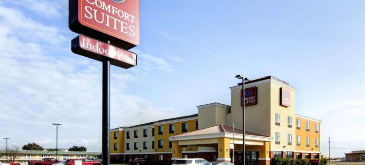 斯托克顿堡舒适套房酒店(Comfort Suites)图片