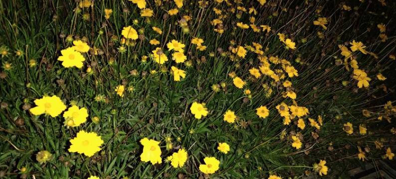 云祥公寓(东官庄一街分店)图片