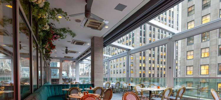 纽约市中心中城区第五大道希尔顿逸林酒店(DoubleTree by Hilton New York Midtown Fifth Ave)图片