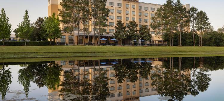 杰克逊维尔喜来登酒店(Sheraton Jacksonville Hotel)图片