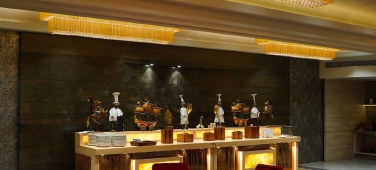 钦梅度假村及酒店(Chinmay Hotel & Resort)图片