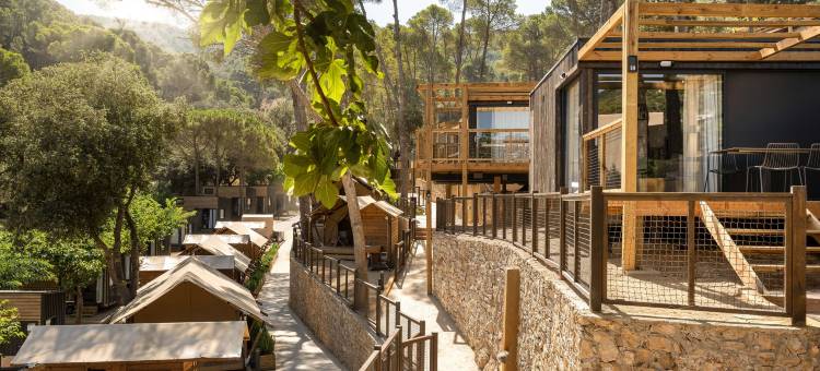 Talaia Plaza生态度假村(Talaia Plaza Ecoresort)图片