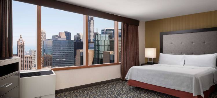 芝加哥中心壮丽大道Homewood Suites by Hilton(Homewood Suites by Hilton Chicago Downtown/Magnificent Mile)图片