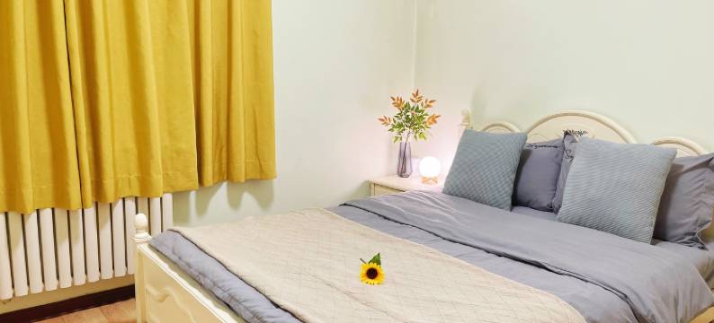 二宝儿公寓(中州中路分店)图片