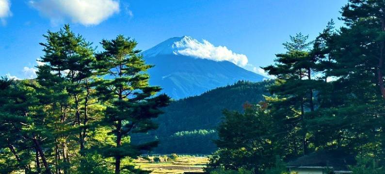 格兰帕克S.O.P富士设计营地(Glampark S.O.P Fuji Kawaguchi Lake)图片