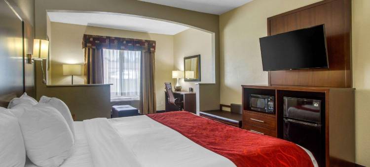 丹维尔舒适套房(Comfort Suites Danville)图片