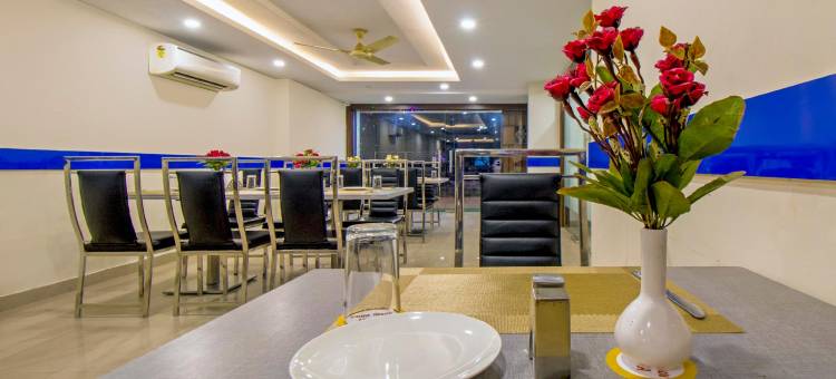 Treebo Royal Orbit, Metropoliton图片