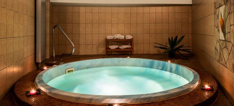 锡比乌阿娜塔金色郁金香酒店(Golden Tulip Ana Tower Sibiu)图片