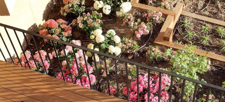 埃克斯血统之家住宿(Exe Casa de Los Linajes)图片