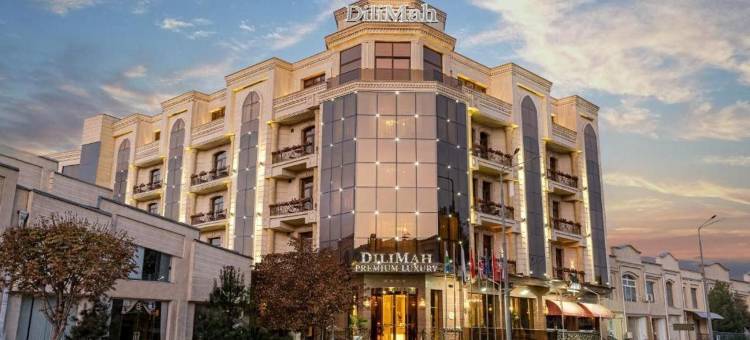 帝玛精品华丽酒店(DiliMah Premium Luxury)图片