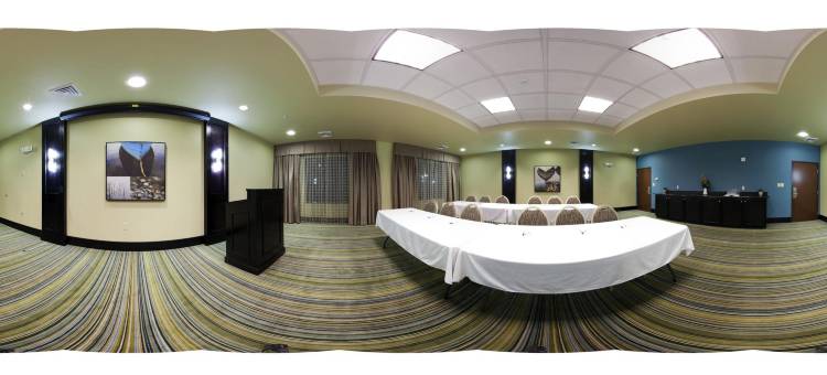 智选假日套房酒店韦克罗斯 by IHG(Holiday Inn Express & Suites Waycross)图片