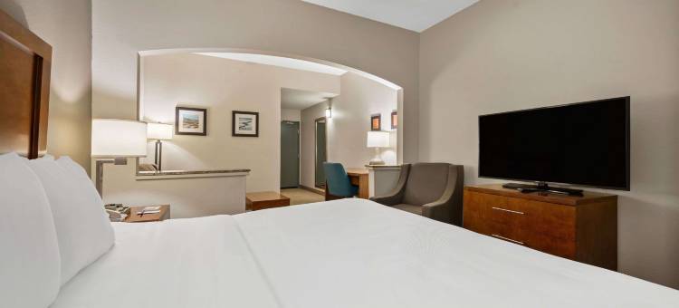 迈尔斯堡舒适酒店(Comfort Inn Fort Myers Northeast)图片