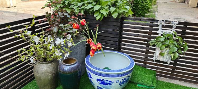 浅苑民宿图片