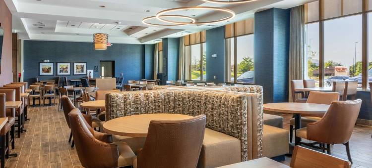 德鲁里广场酒店达拉斯阿林顿(Drury Plaza Hotel Dallas Arlington)图片