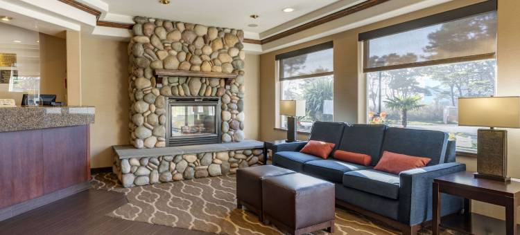 舒适套房酒店(Comfort Inn & Suites)图片