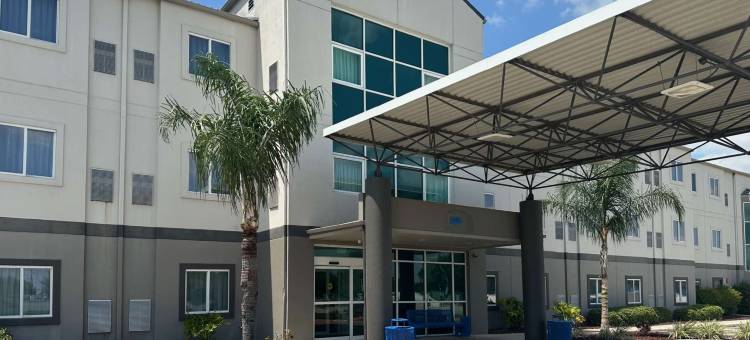 德克萨斯米申 6 号汽车旅馆(Motel 6 Mission, TX)图片