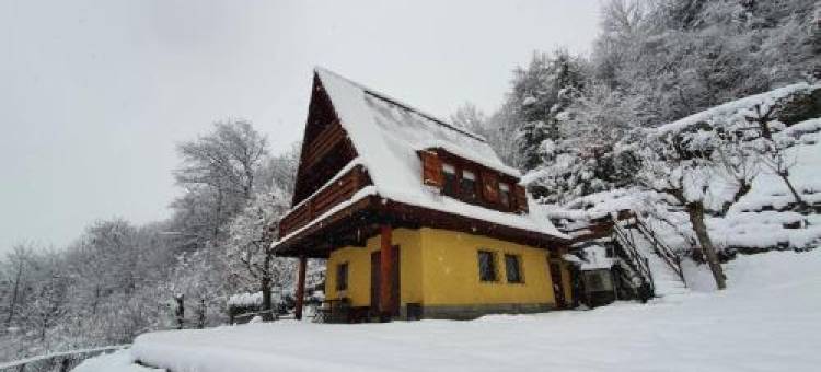 木屋(Chalet Alma)图片