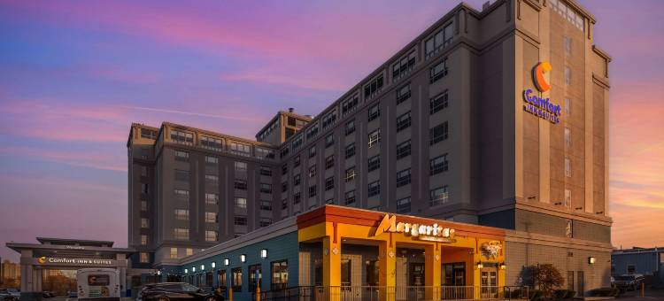 洛根国际机场舒适套房酒店(Comfort Inn & Suites Logan International Airport)图片