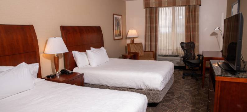 伊利希尔顿花园酒店(Hilton Garden Inn Erie)图片