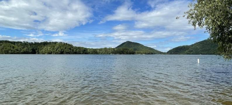 Etowah's Cottage - dog friendly, king beds, hiking, rafting, motorcycles图片