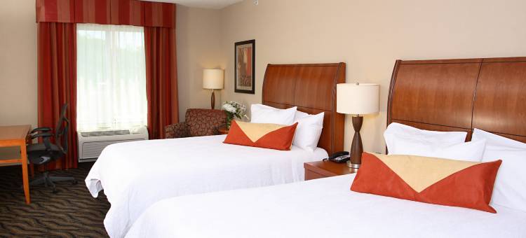 切萨皮克萨福克希尔顿花园酒店(Hilton Garden Inn Chesapeake/Suffolk)图片