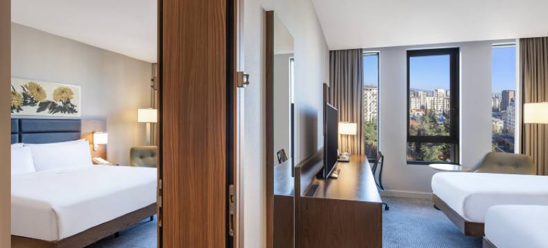 第比利斯希尔顿花园酒店(Hilton Garden Inn Tbilisi Chavchavadze)图片