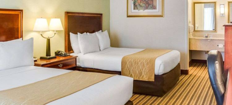 凯隆酒店(Clarion Inn)图片