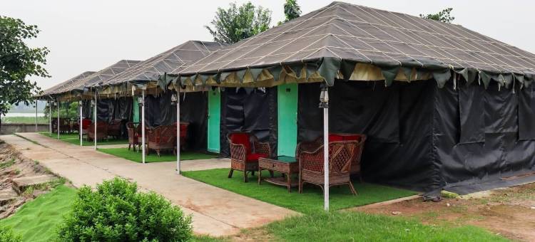 阿卢尔德巴兰蒂(Allure de Baranti)图片