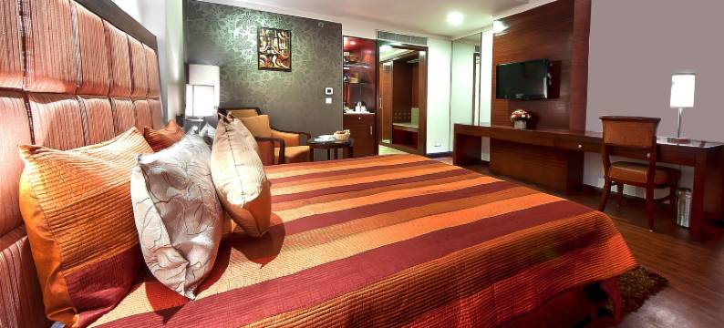 金色广场酒店(The Golden Plaza Hotel)图片