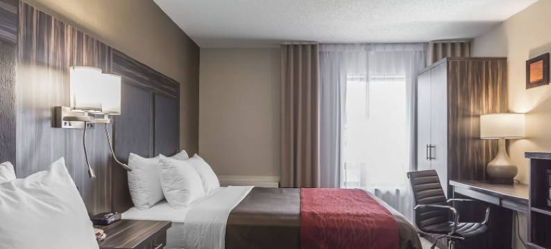 特伦顿舒适酒店(Comfort Inn Trenton)图片