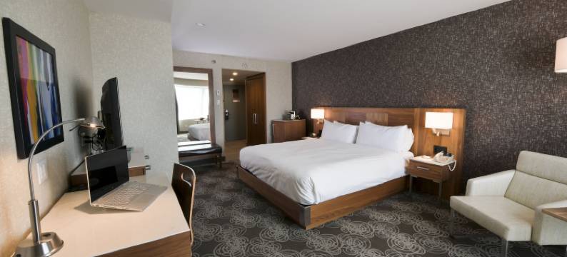 蒙特利尔拉瓦尔饭店希尔顿酒店(Hilton Montreal/Laval)图片