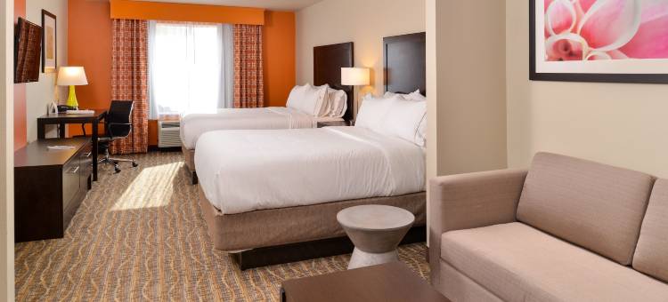 汤博尔智选假日酒店(Holiday Inn Express & Suites HOUSTON NW - TOMBALL AREA by IHG)图片