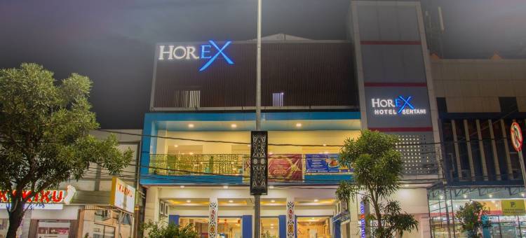 Horex(地平线快车)仙谷酒店(Horex (Horison Express) Hotel Sentani)图片