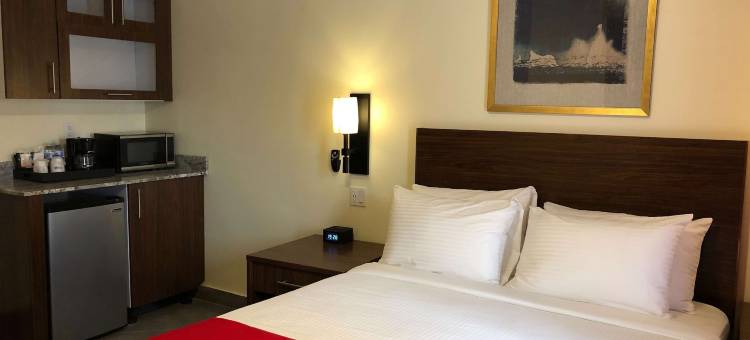 The Lodgings Hotel SureStay Collection by Best Western图片