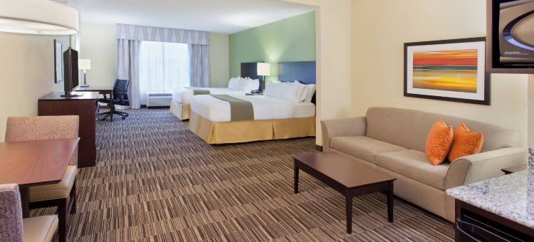 智选假日套房酒店亨茨维尔北(Holiday Inn Express & Suites Huntsville West - Research PK)图片