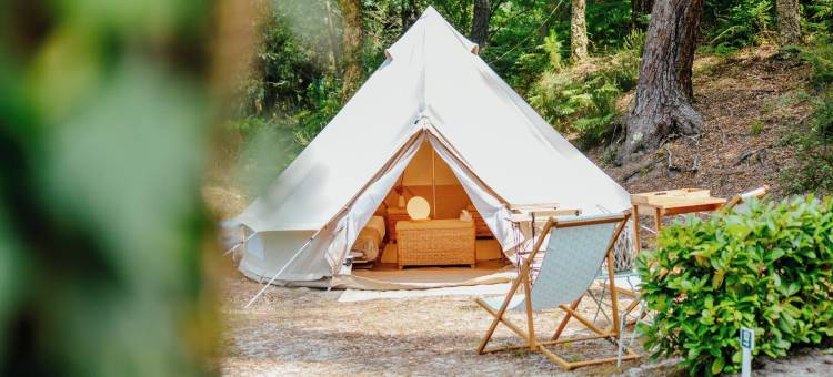塞尼奥斯的舒适帐篷(Cocooning Tipi - Seignosse)图片