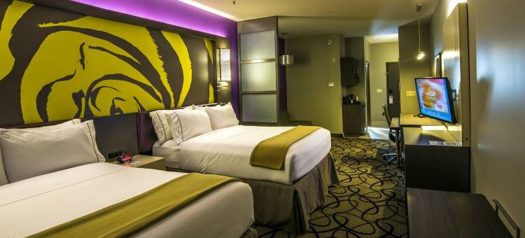 智选假日套房酒店加兰东(Holiday Inn Express & Suites Garland E - Lake Hubbard I30)图片