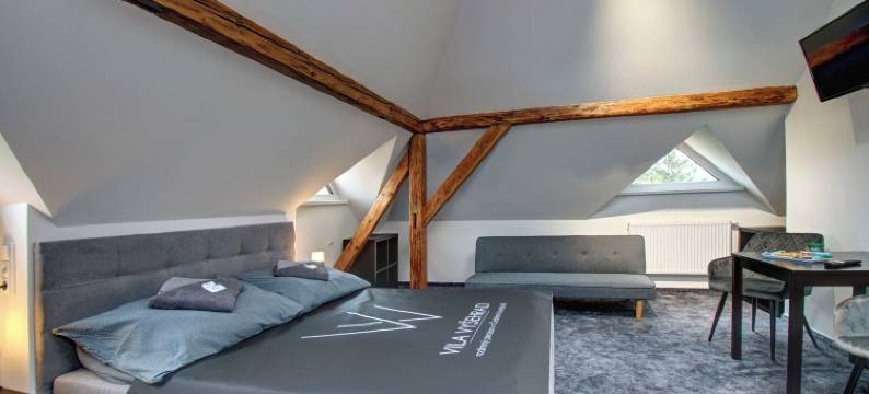 比拉维谢赫拉德(Vila Vyšehrad)图片