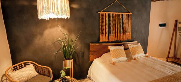 黄色巢穴(The Yellow Nest Tulum)图片
