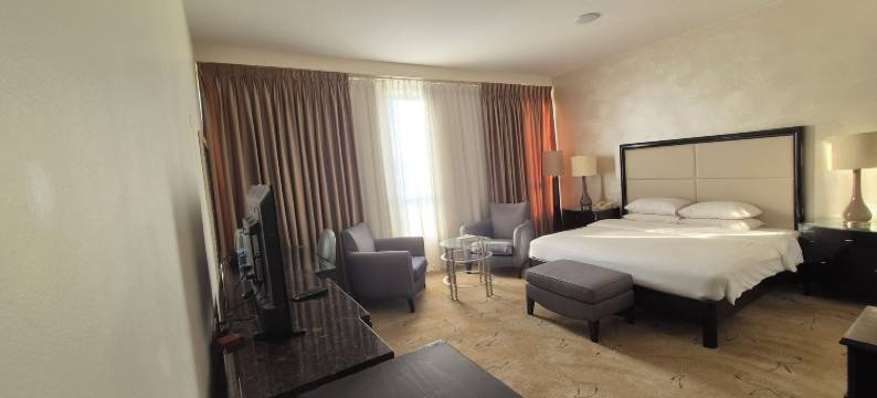 乐温杜米酒店(Le Vendome Hotel)图片