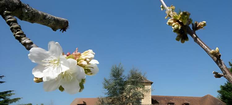 山丘之家酒店(Logis Hotel-Restaurant les Collines 59 Route des crêtes)图片